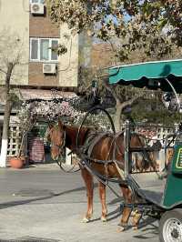 Tianjin Itinerary