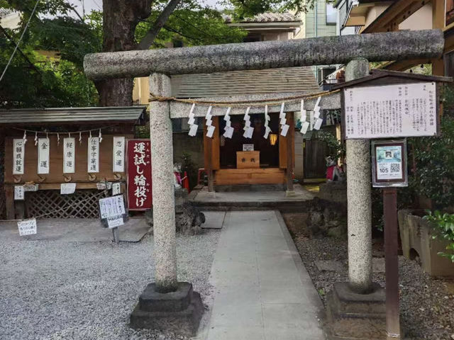 Ditch Tokyo Crowds: Discover Edo-Era Charm in Kawagoe! 🏮🚃