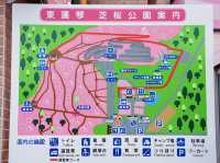 🌸 A Sea of Pink – Higashimokoto Shibazakura Park in Full Bloom