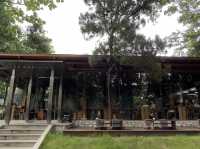 Third-Wave Nirvana: The Baristro’s Bamboo-Steamed Silence