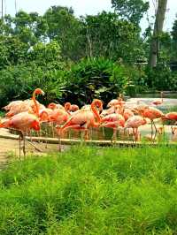 Splash into colors at Crimson Wetlands!