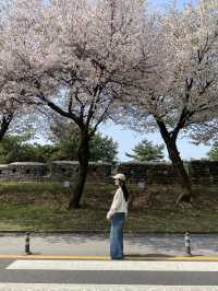 🌇 ชมวิวโซลแบบ 360 องศา – N Seoul Tower