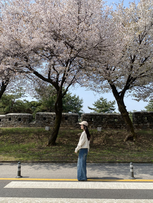 🌇 ชมวิวโซลแบบ 360 องศา – N Seoul Tower