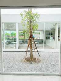 เที่ยวเมืองเพชร พักที่ WIIN hotel ประทับใจมากค่ะ