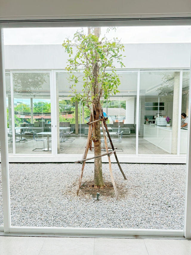 เที่ยวเมืองเพชร พักที่ WIIN hotel ประทับใจมากค่ะ