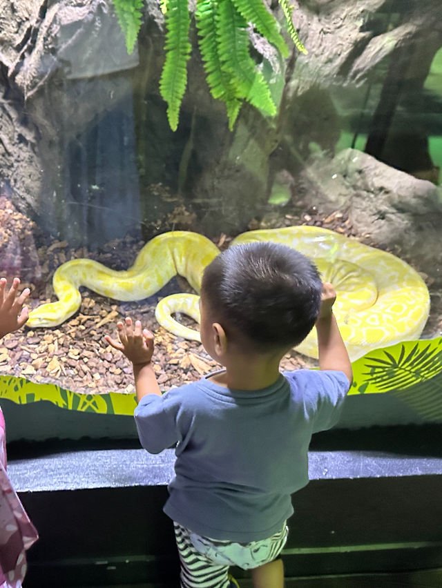 Phuket Aquaria