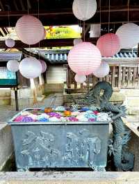 Blooming Wonders of Yanagidani Kannon