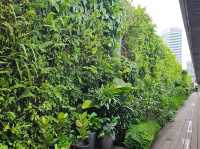 Skyline Chill & Art Thrills at Ng Teng Fong Roof Garden