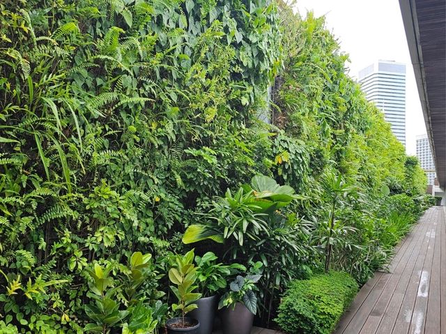Skyline Chill & Art Thrills at Ng Teng Fong Roof Garden