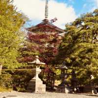🌿 Solo Summer Serenity: Zenkoji Temple – Nagano’s Spiritual Heart
