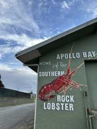 Melbourne - Great Ocean Drive / Yarra Valley / Healesville