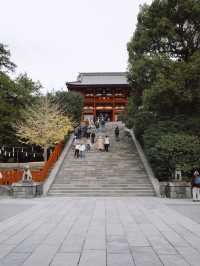Tsurugaoka Hachimangu ⛩️