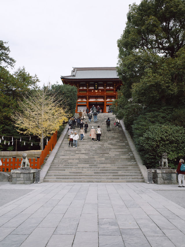 Tsurugaoka Hachimangu ⛩️