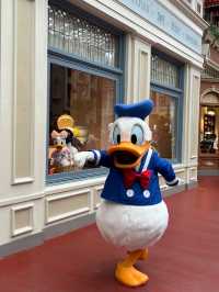 The Zen of Disney: Tokyo’s Magical Wonderland