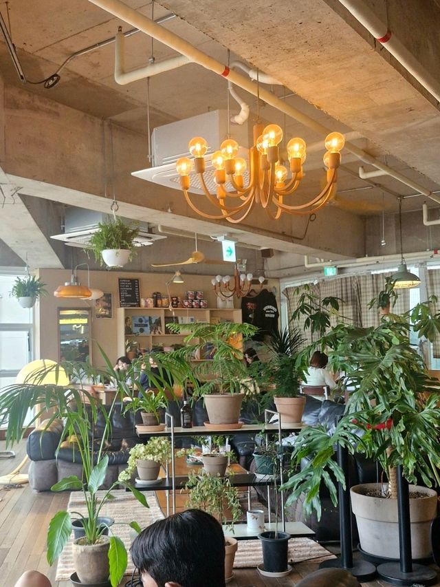 광안리 플랜테리어가 예쁜 카페 워킹홀리데이🍀
