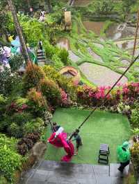 Glass Floors & Flying Foxes—Only at Alas Harum