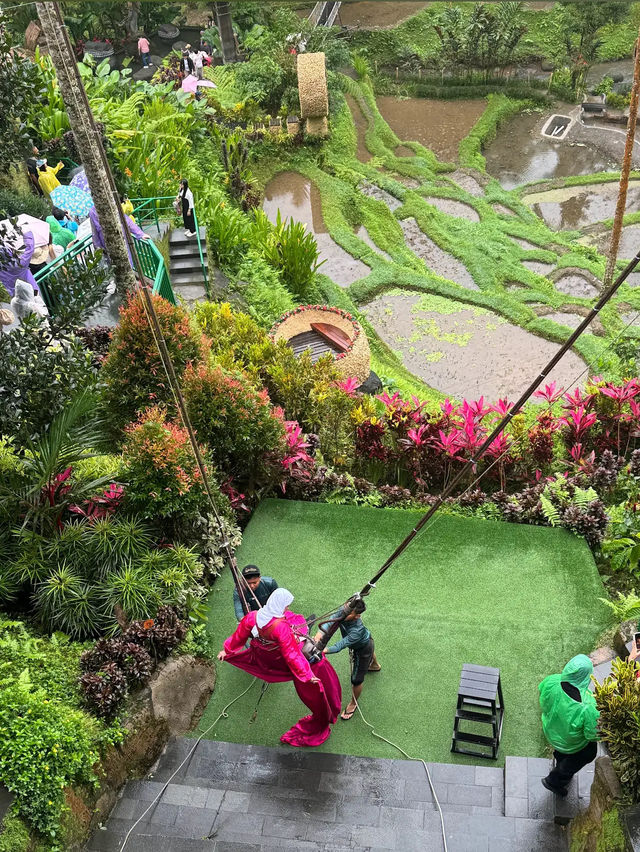 Glass Floors & Flying Foxes—Only at Alas Harum
