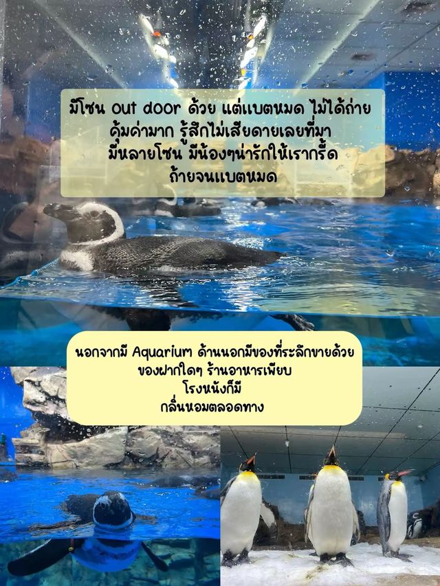 พิพิธภัณฑ์สัตว์น้ำเอ็กซ์พาร์ก Xpark (Xpark Aquariu