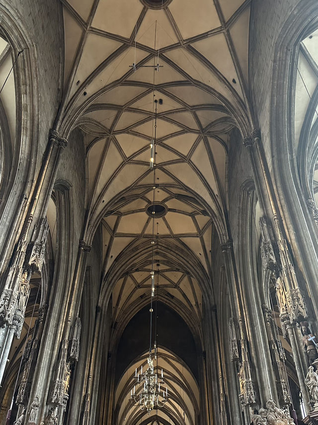 Bone Crypts & Dragon Scales: Gothic Vienna Unbound