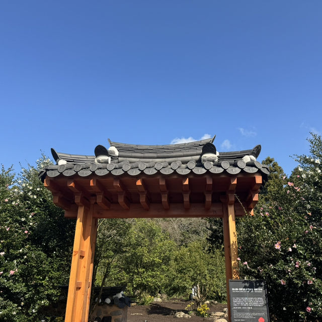 【済州旅行】自然を感じに行こう！！✨
