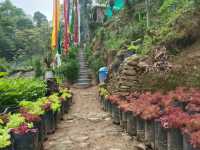 Agro tourism in kurseong hills. 
