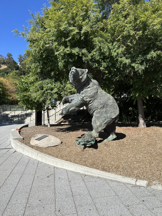 UC Berkeley加州大學柏克萊分校 | 公立名校朝聖之旅 🐻