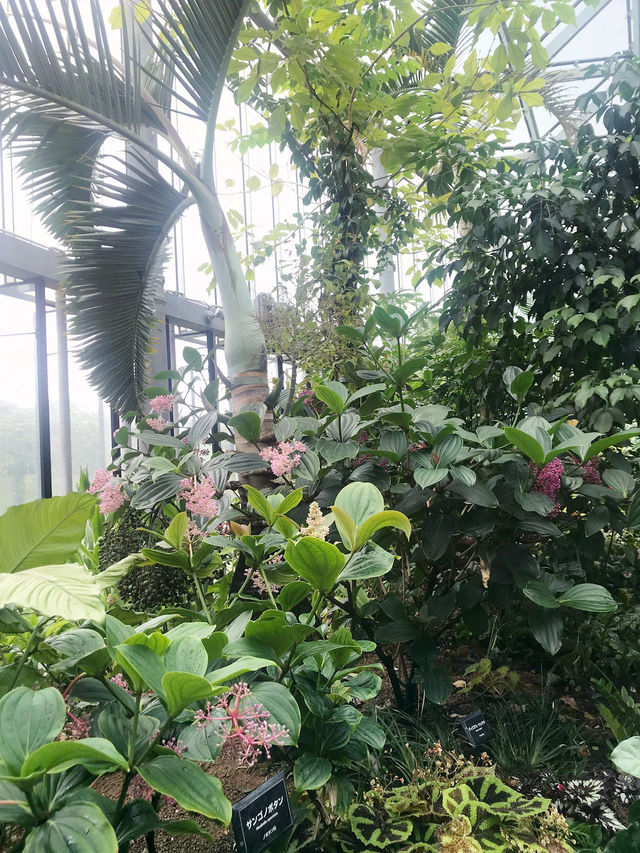 【東京　新宿御苑の早朝開園がスタート】