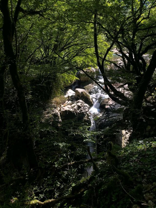 Martvili Canyon is Straight-Up Magical