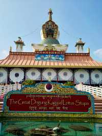 【ネパール・ルンビニ Great Drigung Lotus Stupa】チベット仏教の精髄が宿る鮮やかな寺院