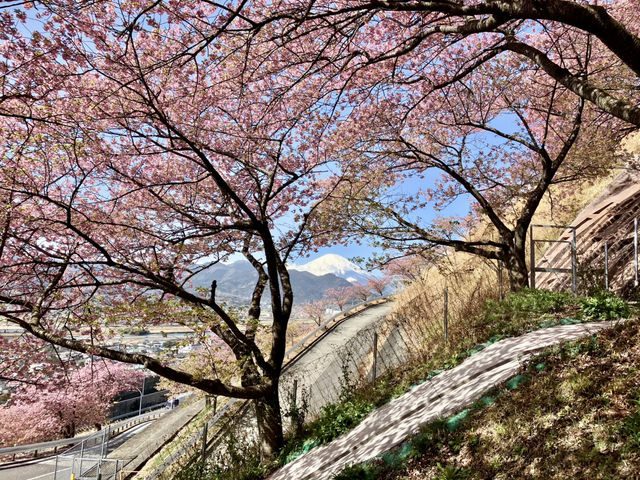 西平畑公園