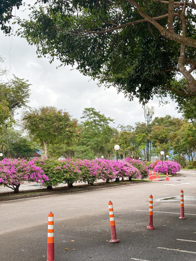 ที่นี่คือเขื่อนรัชชประภา (เขื่อนเชี่ยวหลาน) 🏔️🚴‍♀️