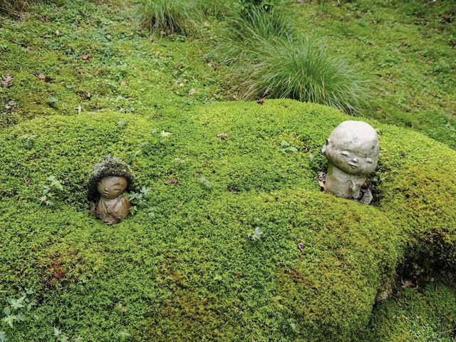 【大原三千院】山里に佇む癒しの寺🍃静寂と緑に包まれる“心の旅”