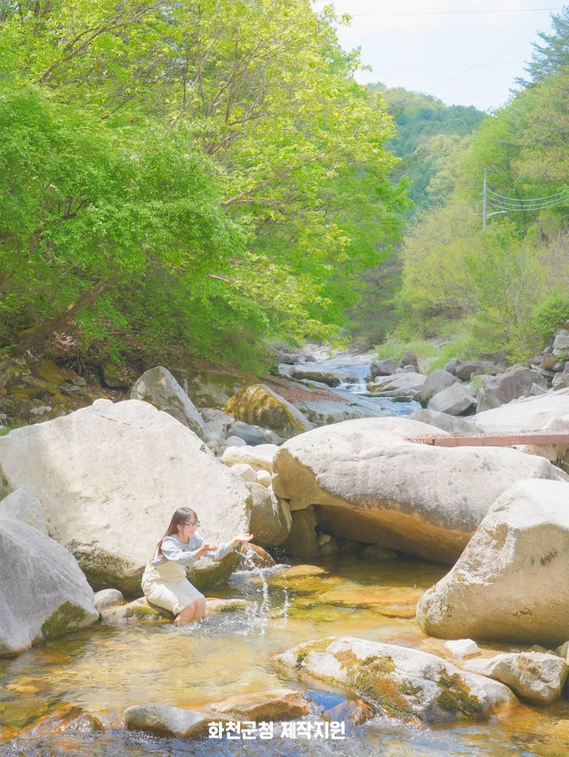 사랑 가득한 여행 하기 좋은 힐링 도시 화천🌿
