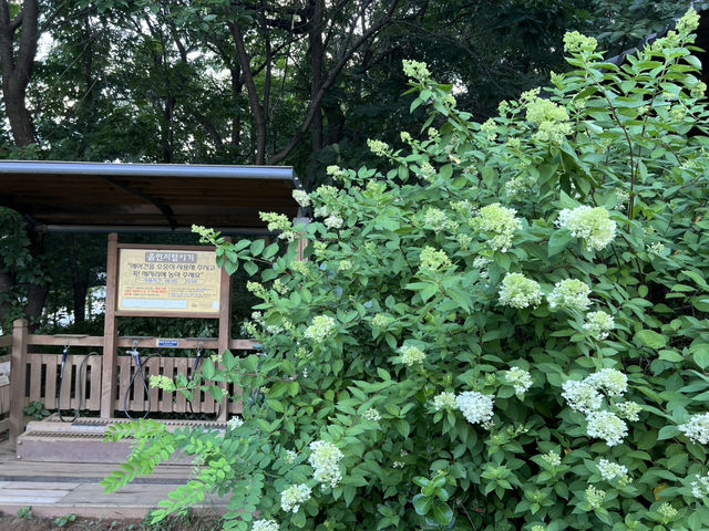 그린웨이 산책길