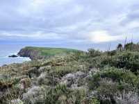 Bruny Island – เกาะเล็กๆ ที่เต็มไปด้วยความทรงจำ