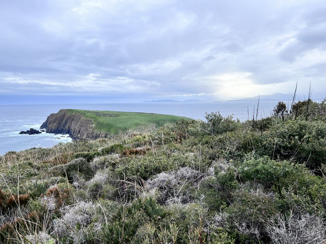 Bruny Island – เกาะเล็กๆ ที่เต็มไปด้วยความทรงจำ