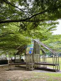A Hidden Dialogue of Art & Nature in the Heart of KL