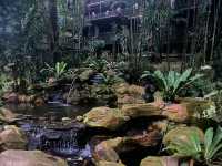Get Up Close with Birds at KL Bird Park