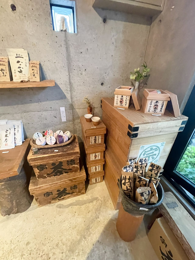 🍵Uji เมืองมัจฉะ ใกล้ Kyoto | จิบมัจฉะ ช้อปของฝาก🍃