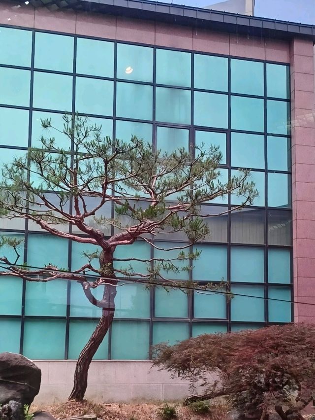 진주 여행 가이드 | 진주 수목원 (Jinju Arboretum) 
