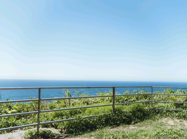 【千葉】太平洋を望む美しい「八幡岬公園」