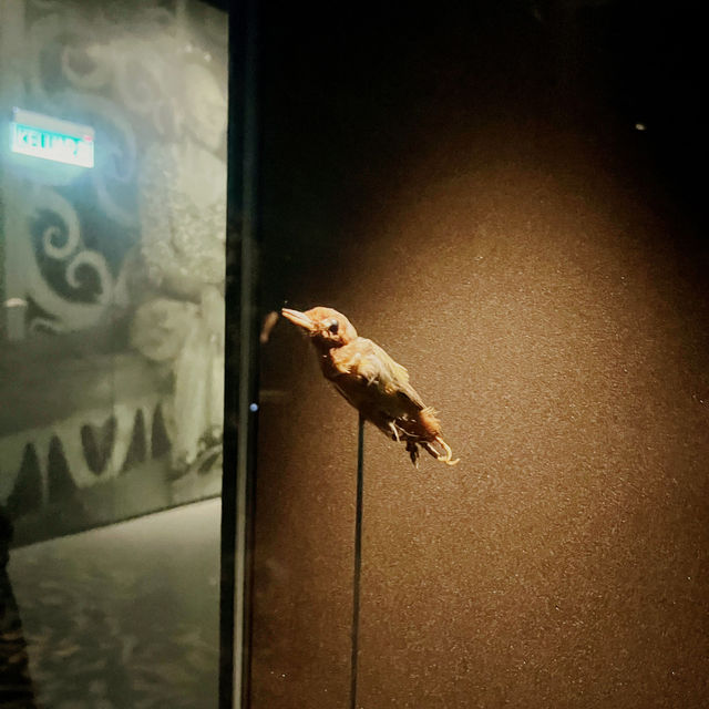 🏛️ Discover Sarawak’s Soul at Borneo Cultures Museum