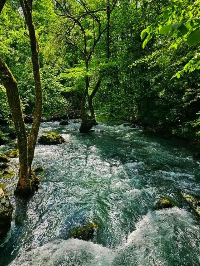 Krupa na Vrbasu: Where Water Whispers Through Time 🌿 Krupa na Vrbasu: Where Water Whispers Through Time 🌿