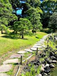 A Calm Break at Kyu-Shiba-rikyu Gardens