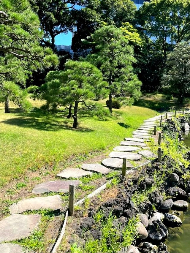A Calm Break at Kyu-Shiba-rikyu Gardens