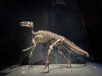 Naturails Biodiversity Center - สนุกและโดดเด่น