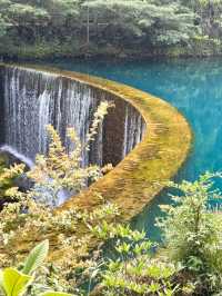Into the Wild Waters of Xiaoqikong
