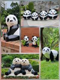 Delightful Encounter at Macau Giant Panda Pavilion