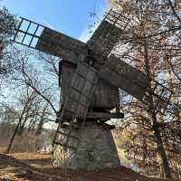 🌟 Dimitrie Gusti National Village Museum Solo Escape: Step into Romania’s Living Past! #SoloInBucha
