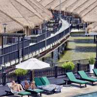 🌿 A Refreshing Escape to Sepang: Dragon Fruit Farm + Avani Resort Bliss 🐉☀️